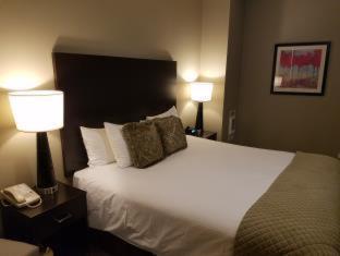 Majestic Hotel Chicago Room photo